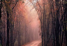 体坛名场面|8岁小姑娘起跑线摔倒还能完成惊天逆转,赛后表示摔倒并不可怕拼了就好!.