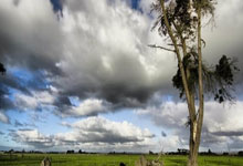 早报:斯凯利处子球英格兰世预赛取胜 里贝里再批2013金球不公平.