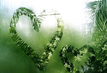 曾经预测全红婵“可能什么都不是”,周继红如今“下课”了.