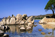 搜狐新闻马拉松收官 刘畊宏庞博拿下21公里.